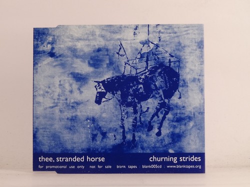 Thee stranded horse - thee,