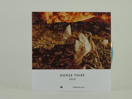 Horse thief devil track - thief, (d7)