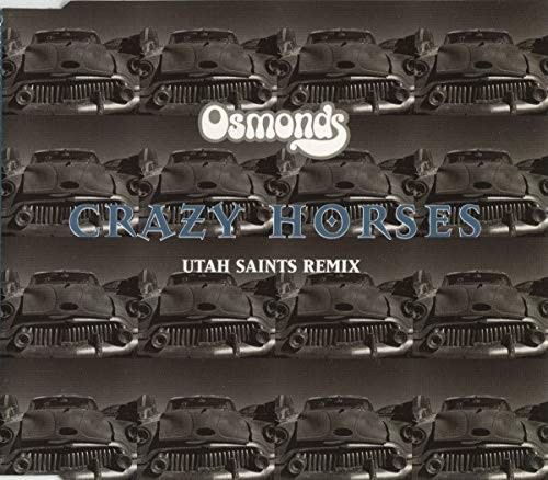 Crazy horses single - crazy, cd