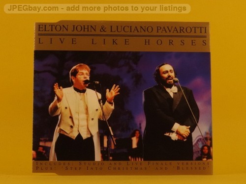 Elton john live - elton, horses